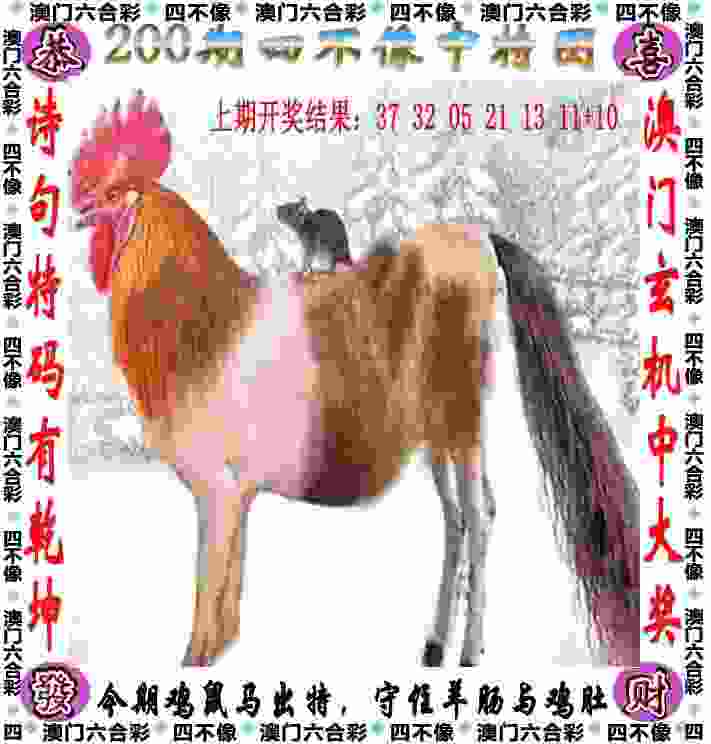 >新奥开什么今晚