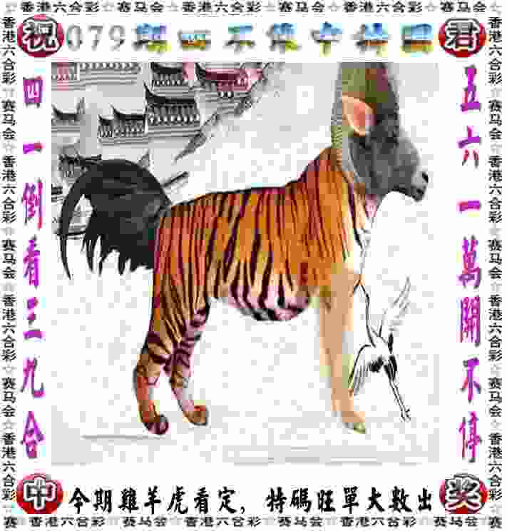 >新奥开什么今晚